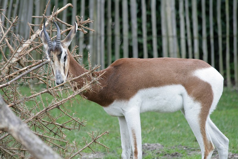 Fotoclubje Blijdorp 2008-15.jpg